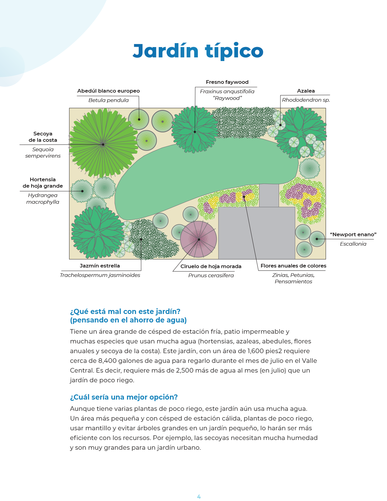 Save our water collateral page 4